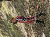 Ma photo