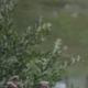 Ma photo