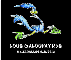  TRAIL DES GALOUPAYRES 2019 - 10 March 2019