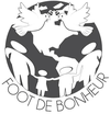 Logo BELLEVILLE - FOOT DE BONHEUR
