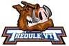 Logo Theoule VTT