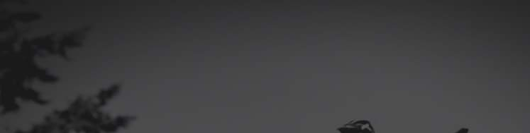 Image Header