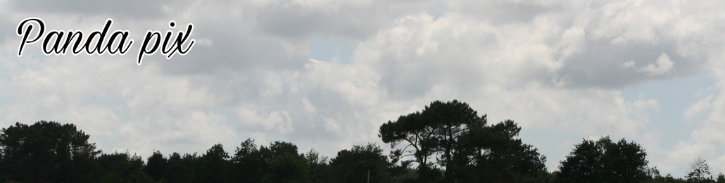 Image Header