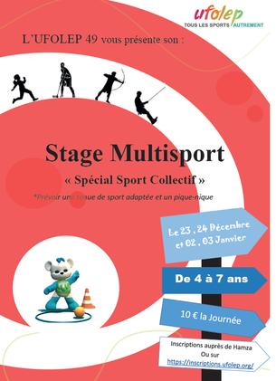 Affiche Stage Multisport " Spécial Sport Collectif" jeudi 2 janvier - 2 janvier 2020
