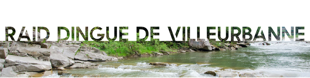 Image Header