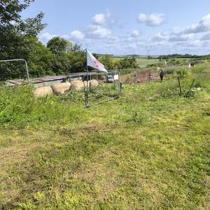  Motocross Promotions HDF - 8 juin