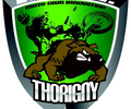 Motocross de THORIGNY (85) - 7 May