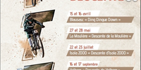 DING DINGUE DOWN - 15/16 April