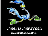 avatar MAZEROLLES- LOUS GALOUPAYRES